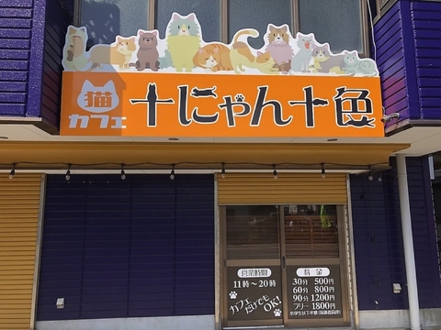 猫カフェ 十にゃん十色の写真1