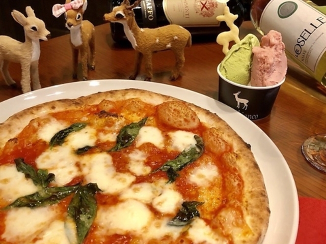 cervo biancoの写真1