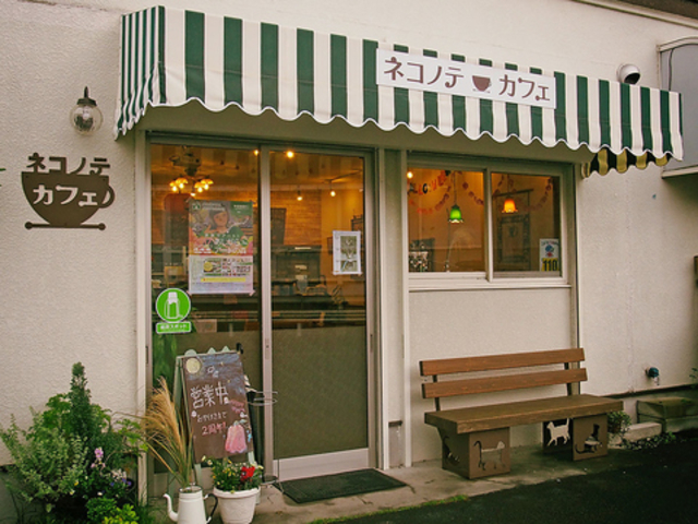 ネコノテカフェ の写真1