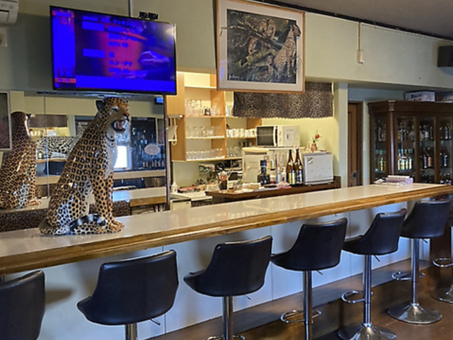 jaguar ジャガーの写真1