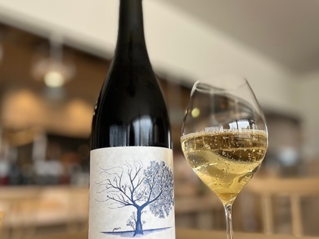 Quercia クエルチアの写真1