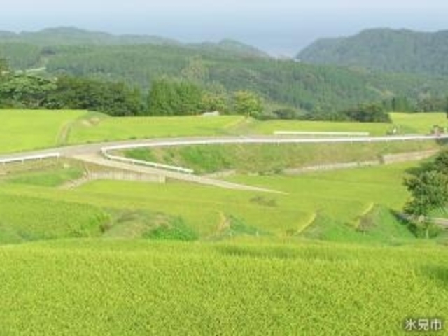 長坂の棚田の写真1