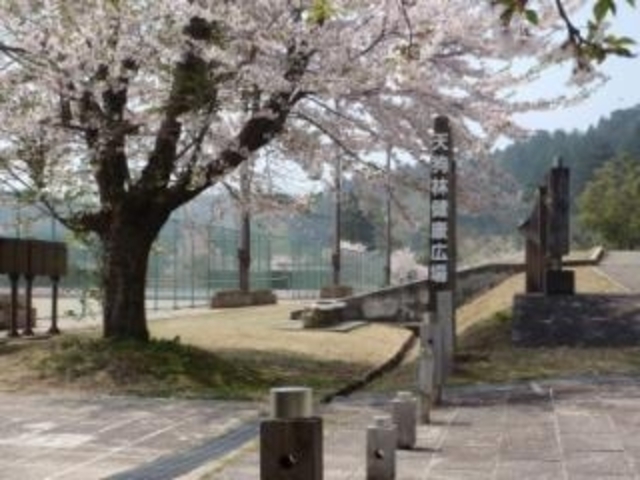 天狗林健康広場の写真1