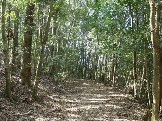 薩摩街道跡の写真1