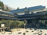 月うさぎの里の写真2