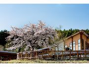 ユンニの湯の写真4