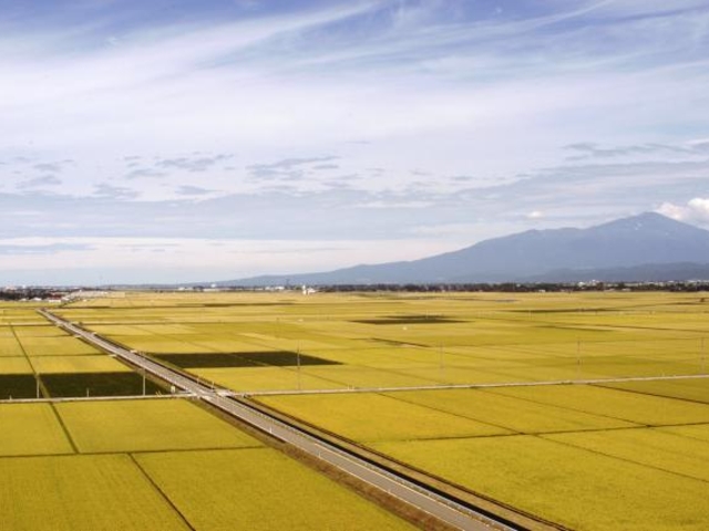 三川町