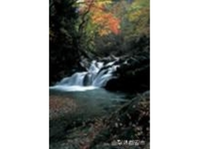 鹿留渓流の写真1