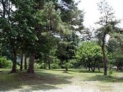 鹿留オートキャンプ場の写真1