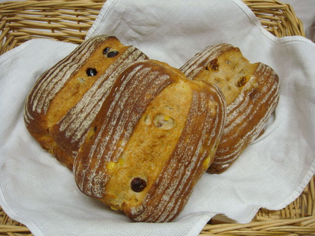 こねこねハウス