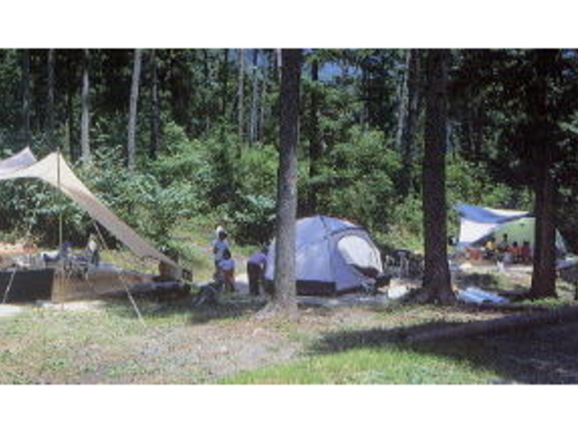 ふるさと村自然園キャンプ場の写真1