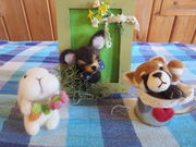 COUNTRY SHOPそらいろのたねの写真4