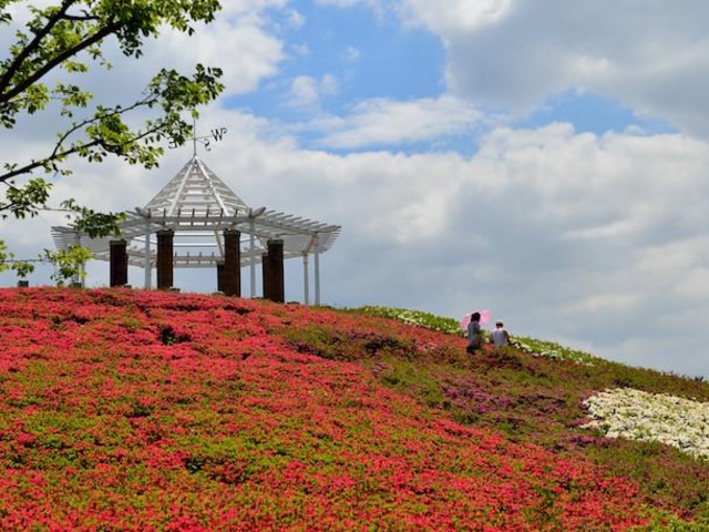 都立秋留台公園_都立秋留台公園