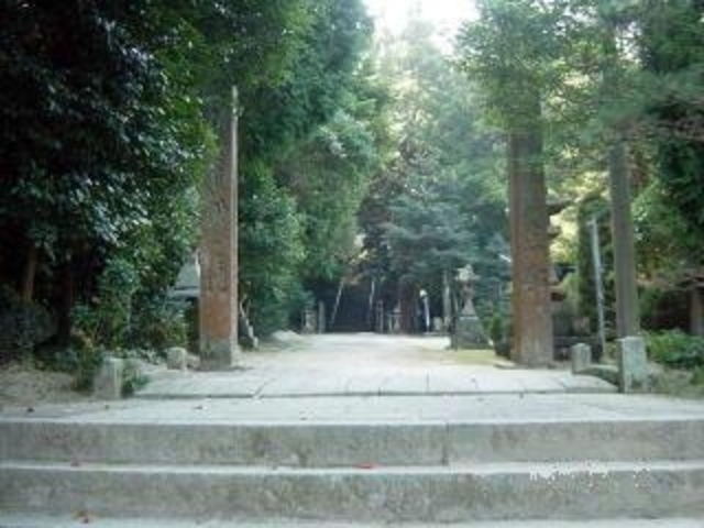 高松八幡宮樹林の写真1