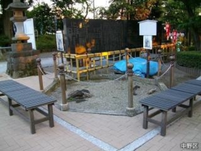 道灌杉の写真1
