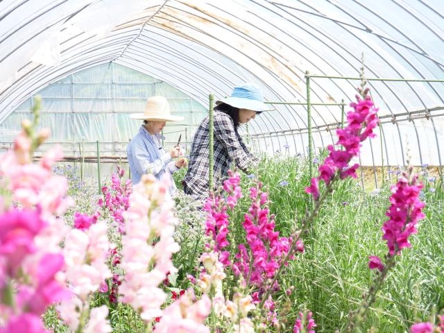「食べられる花束」サラダブーケ作り体験の写真1