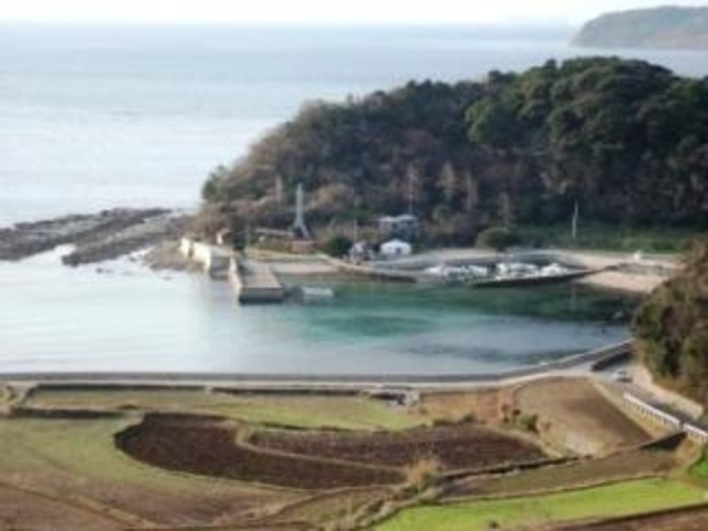 オアシス村の写真1