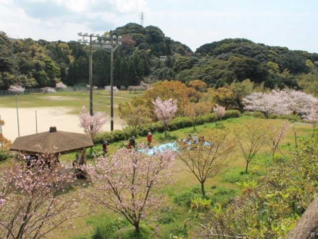 千本公園グラウンド_千本運動公園