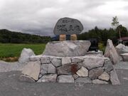 芸道一代細川たかし生地の写真1