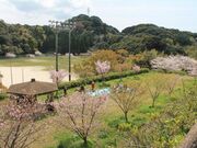 千本運動公園の写真2