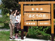 葡萄園「ぶどうの丘」の写真2