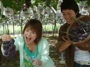 葡萄園「ぶどうの丘」の写真4
