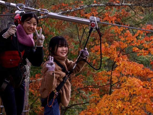 フォレストアドベンチャー・長野