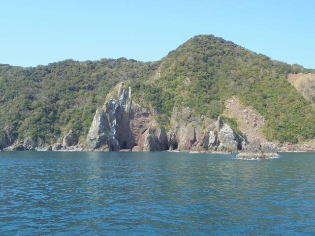 のんびり土佐湾クルージングの写真1