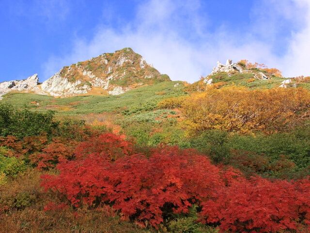 ナナカマド紅葉_千畳敷カール 紅葉