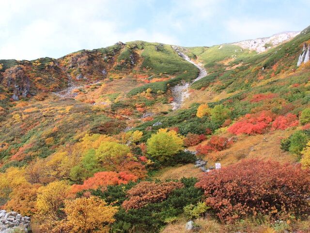 赤ナナカマド 黄ダケカンバ 緑ハイマツ_千畳敷カール 紅葉