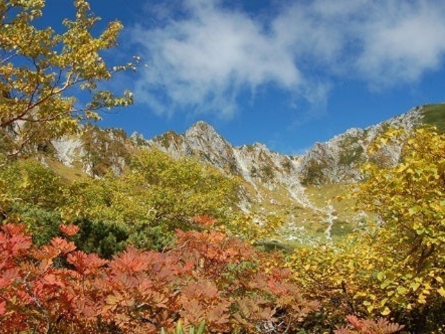 宝剣岳と紅葉_千畳敷カール 紅葉