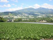 菅平高原の写真4
