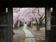 深叢寺(しんそうじ)の写真2