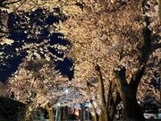深叢寺(しんそうじ)の写真3