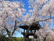 深叢寺(しんそうじ)の写真4