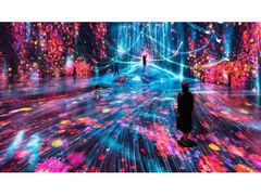 森ビル デジタルアート ミュージアム:エプソン チームラボボーダレスの写真1