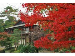 錦を纏う徳川園紅葉祭の写真1