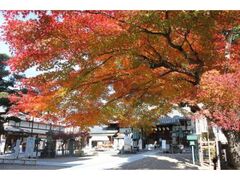 八事山興正寺の紅葉の写真1