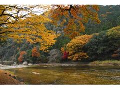鳳来峡・板敷川の紅葉の写真1