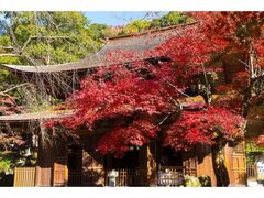 定光寺・定光寺公園の紅葉の写真1