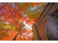 愛岐トンネル群 秋の特別公開の写真1