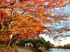 聚楽園公園 もみじまつりの写真1