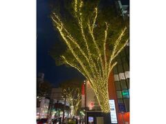 栄ミナミ・大須ウインターイルミネーションの写真1