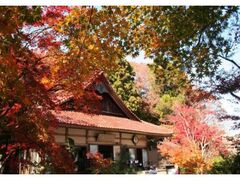 聖宝寺の紅葉の写真1