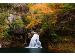 赤目四十八滝の紅葉の写真1