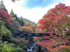 河内渓谷の紅葉の写真1
