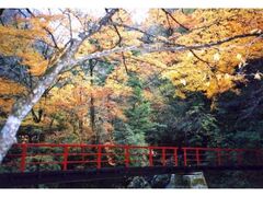 宮の谷渓谷の紅葉の写真1