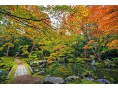北畠氏館跡庭園の紅葉の写真1