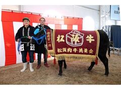 松阪牛まつり(第74回松阪肉牛共進会)の写真1