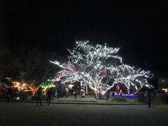 五ヶ所公園イルミネーションの写真1
